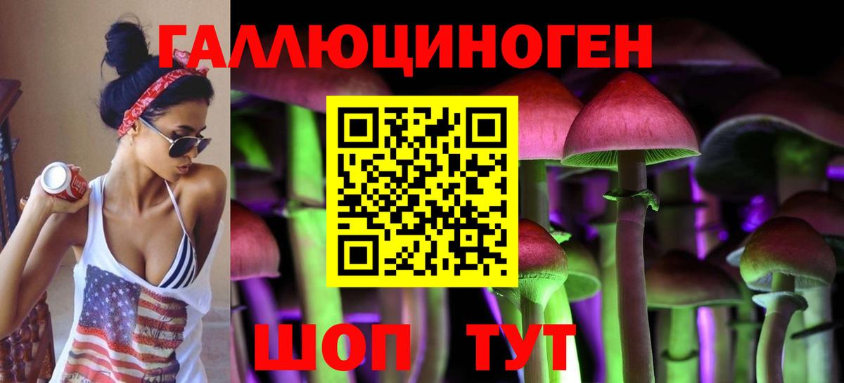 Галлюциногенные грибы Magic Shrooms  Псилоцибиновые грибы GOLDEN TEACHER  Хабаровск  Вход с VPN 